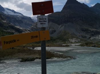 Randonnée Marche nordique Evolène - glacier Miné  - Photo