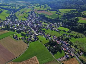 Trail On foot Bad Soden-Salmünster - Gebietswanderweg: Salmünster => Marjoß - Photo