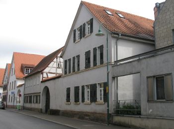 Tour Zu Fuß Unbekannt - Naturpfad Eberstadt - Photo