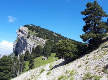 Randonnée Marche Romeyer - Dieois - Rochers de plautret - Jul20 - Photo
