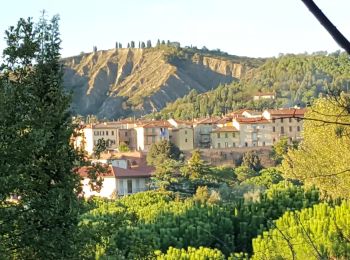 Tocht Te voet Riolo Terme - Petalo di Gallisterna - Photo