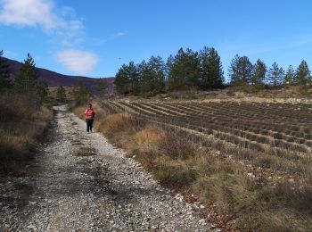 Excursión Senderismo Les Omergues - des Omergues à Montfroc - Photo