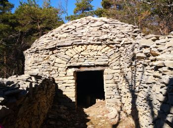 Tour Wandern Barret-de-Lioure - la cabane de Cyprien - Photo