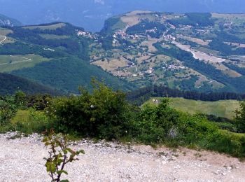 Trail On foot Brenzone sul Garda - Castelletto di Brenzone - Prada - Bocchetta di Naole - Photo