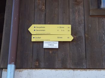 Percorso A piedi Großarl - Schiedstein Höhenweg - Photo