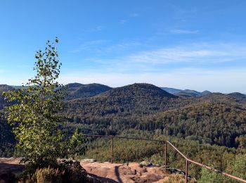 Tocht Paardrijden Schönau (Pfalz) - suuntoapp-HorsebackRiding-2024-09-29T07-15-12Z - Photo