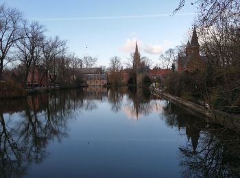 Trail Walking Bruges - GR5A Stad Brugge - Photo