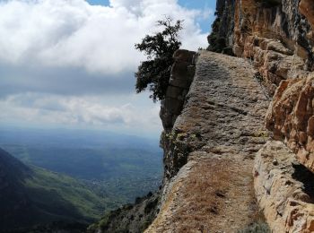 Tour Wandern Le Bar-sur-Loup - Barres de Cavillore - Photo