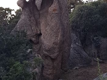 Excursión Senderismo Serra-di-Ferro - Sentier côtier de Porto Pollo - Photo