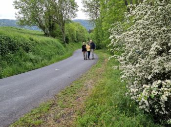 Tour Wandern Alleyras - Vallées 2 - Photo