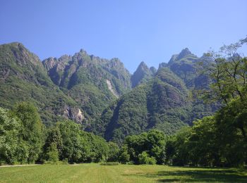 Tour Zu Fuß San Bernardino Verbano - X06 - Orfalecchio - Alpe Rodugno - Bocchetta di Saltir - Alpe Corte - Photo