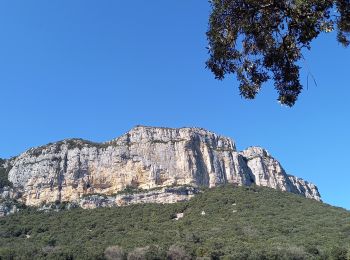 Randonnée Marche Valflaunès - l'Hortus crêtes  - Photo
