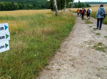 Tour Wandern Fère-en-Tardenois - Fère-en-Tardenois - les Foulées des Bruyères du 26-06-2022 - Photo