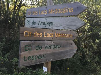 Trail Walking Vendays-Montalivet - 05-05-2019- 5 jour. 30,2km - Photo