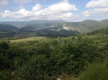 Randonnée Marche Mévouillon - la montagne de croc et bouvrèges - Photo