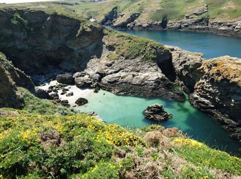 Randonnée Marche Sauzon - Belle-Ile la pointe des poulains  - Photo