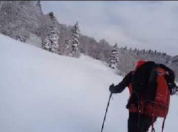 Excursión Raquetas de nieve Saint-Agnan-en-Vercors - chemin des feuilles depart stade  neiege   raphael poiret  la trompe - Photo