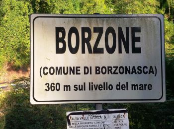 Excursión A pie Borzonasca - Borzonasca - Borzone - Zolezzi - Rovine S. Martino di Licciorno - Vallepiana - Photo