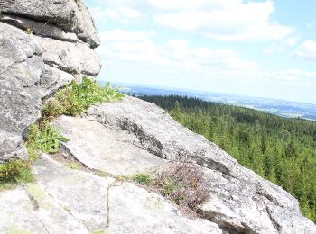 Percorso A piedi Kirchenlamitz - Lamitzquelle - Hirschstein - Photo