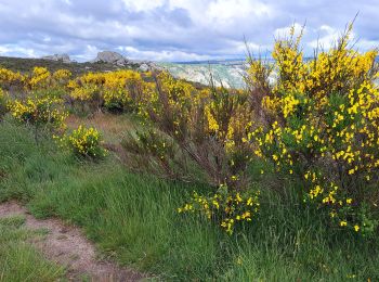 Tocht Stappen Rosis - Caroux - Photo