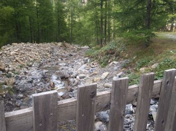 Trail Walking La Condamine-Châtelard - Chapelle St Anne 14.8.22 - Photo