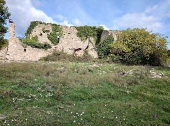 Tocht Te voet Mazaugues - Mazaugues-Mourre d'Agnis-23-10-2024 - Photo