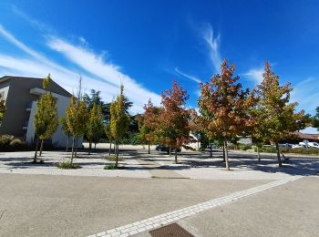 Tour Wandern Grézieu-la-Varenne - Grezieu la varenne à ste Consorce - Photo