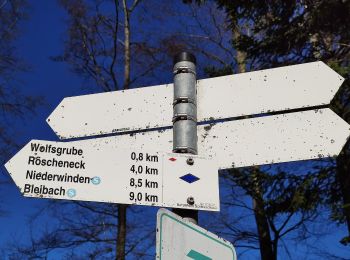 Percorso A piedi Gutach im Breisgau - Bleibach - Hohe Eck - Photo