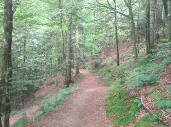 Trail Walking Aulus-les-Bains - Cascade d'Ars - Photo