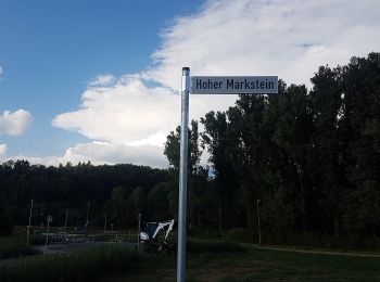 Tocht Te voet Neidenstein - Schloss-Weg - Photo