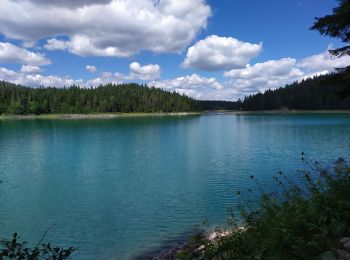 Trail Walking  - lac Noir en famille - Photo