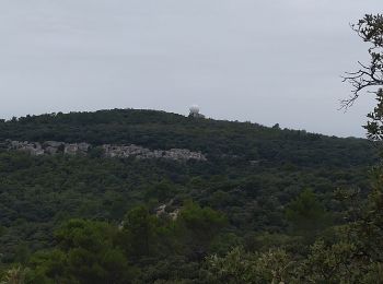 Randonnée Marche Saint-Paul-Trois-Châteaux - Festi rando St Paul Trois Châteaux  - Photo