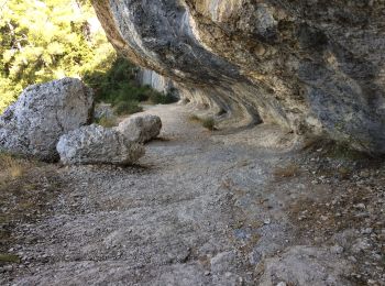 Trail Walking Robion - Robion les taillades rochers de baude  - Photo