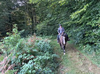 Trail Horseback riding Étalle - Etalle 11 km - Photo