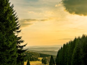 Tocht Te voet Floh-Seligenthal - Rundwanderweg Struth-Rennsteig-Struth - Photo