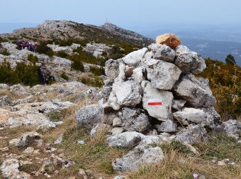 Trail Walking Vauvenargues - Vauvenargues - Col de Suberoque - Garagaï - Croix de Provence - Prieuré - Sentier Imoucha - Le Tholonet - Photo