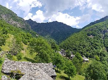 Tocht Te voet Premosello-Chiovenda - A38 - Premosello - Bocchetta di Saler - Photo