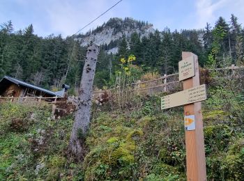 Trail Walking Bernex - Tour Dent d'Oche - Photo