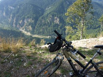 Excursión A pie Desconocido - Cheile Oltețului - Photo