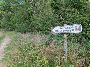 Trail Walking Ballancourt-sur-Essonne - Forêt Hospitalière de la Coudraye Ballancourt-sur-Essonne  - Photo
