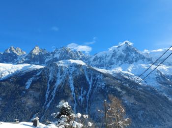 Tocht Sneeuwschoenen Chamonix-Mont-Blanc - 20230131 Chamonix Bois Prin - Photo