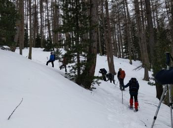 Tour Schneeschuhwandern Saint-Paul-sur-Ubaye - Fouillouse  - Photo