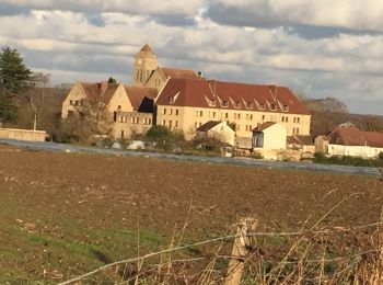 Tour Mountainbike Gif-sur-Yvette - Bois Guyonnerie plateau du moulon - Photo