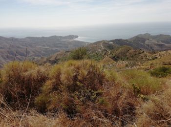 Tocht Stappen Almuñécar - Au dessus de EL CERVAL - Photo