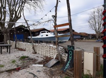 Randonnée Marche La Teste-de-Buch - les prés salés ouest  - Photo