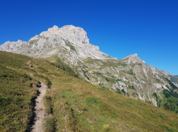 Trail On foot Pellafol - La grande tête de l'Obiou - Photo