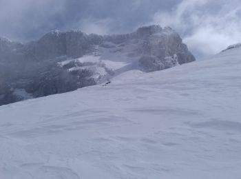 Tocht Ski randonnée Villard-de-Lans - Ric du Cornafion et Rocher de l'ours - Photo