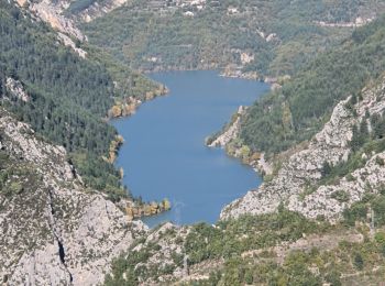 Tour Wandern Castellane - 2023-10-27 Sommet de Destourbes - Photo