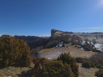 Tour Wandern Léoncel - Rando hivernale autor de la pierre Chauve - Photo