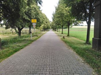 Tocht Te voet Reinheim - Geopark-Pfad Reinheimer Hügelland - Photo